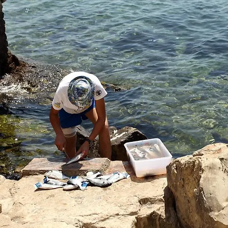 Apartman Lovely Es *